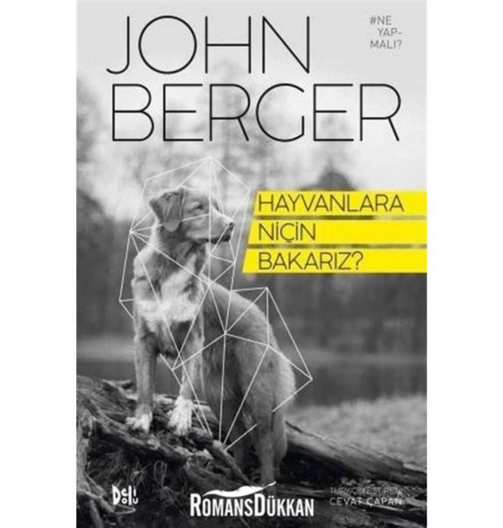 Hayvanlara Niçin Bakarız Cep Boy  Deli Dolu