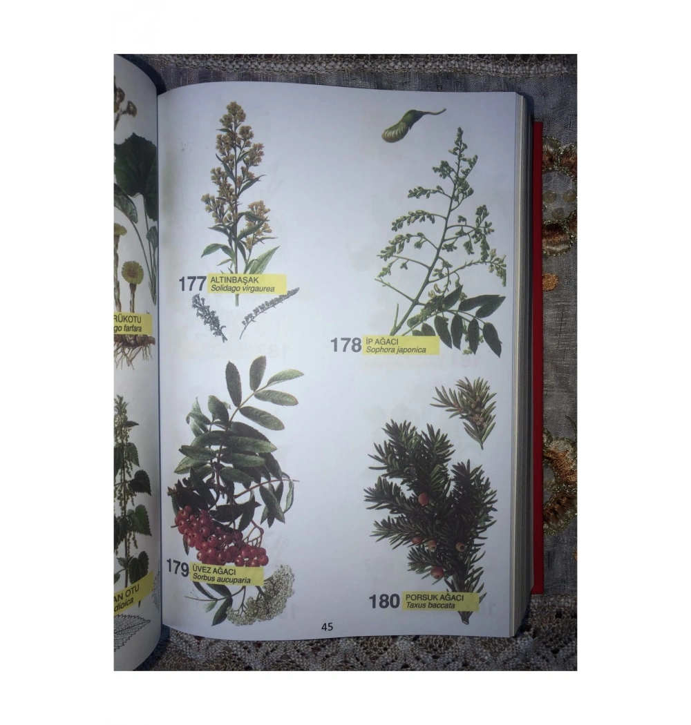 Şifali Bitkiler Ansiklopedisi Ciltli Pamuk Yayincilik