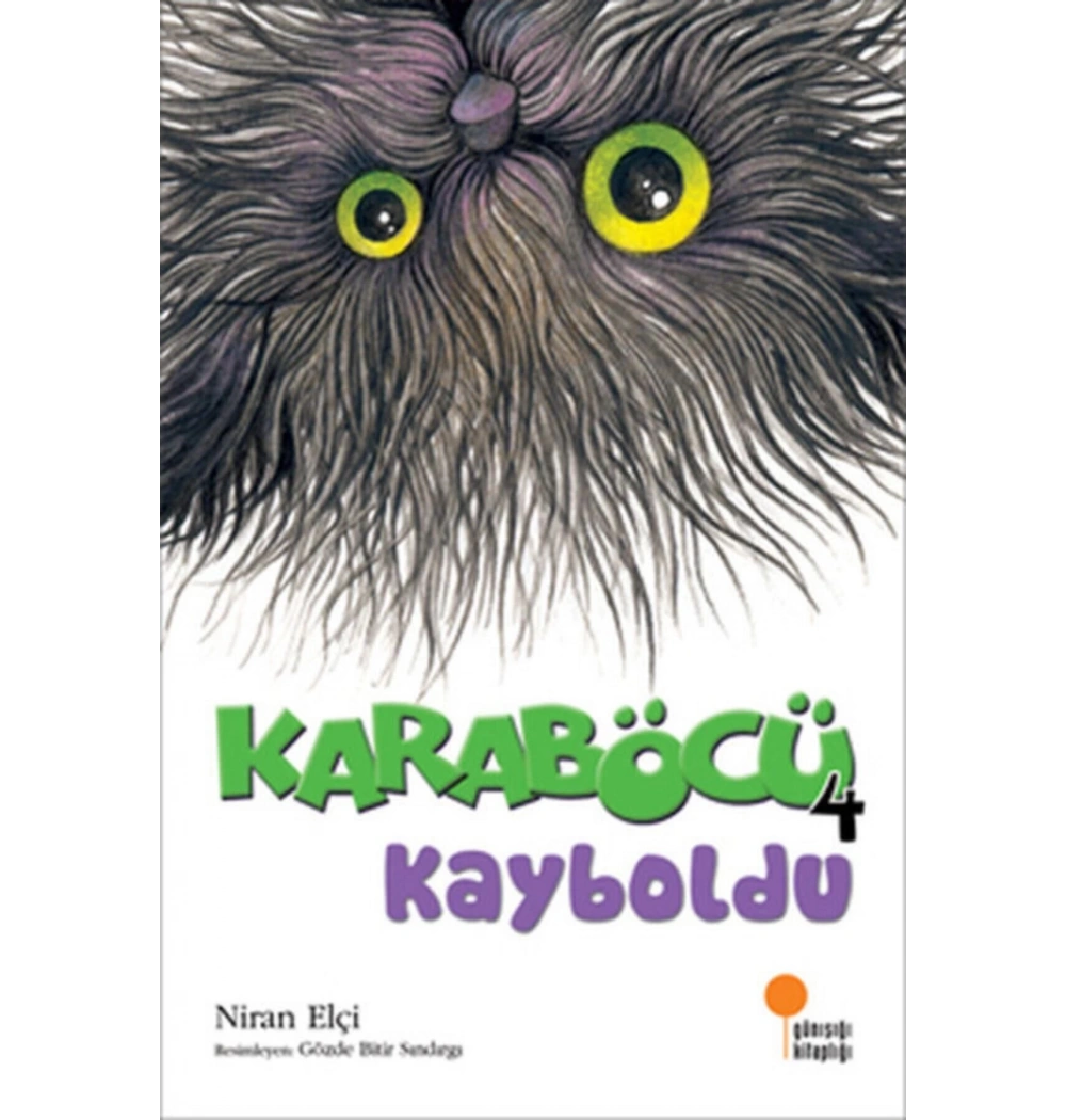Karaböcü Kayboldu  Niran Elçi  Günışığı