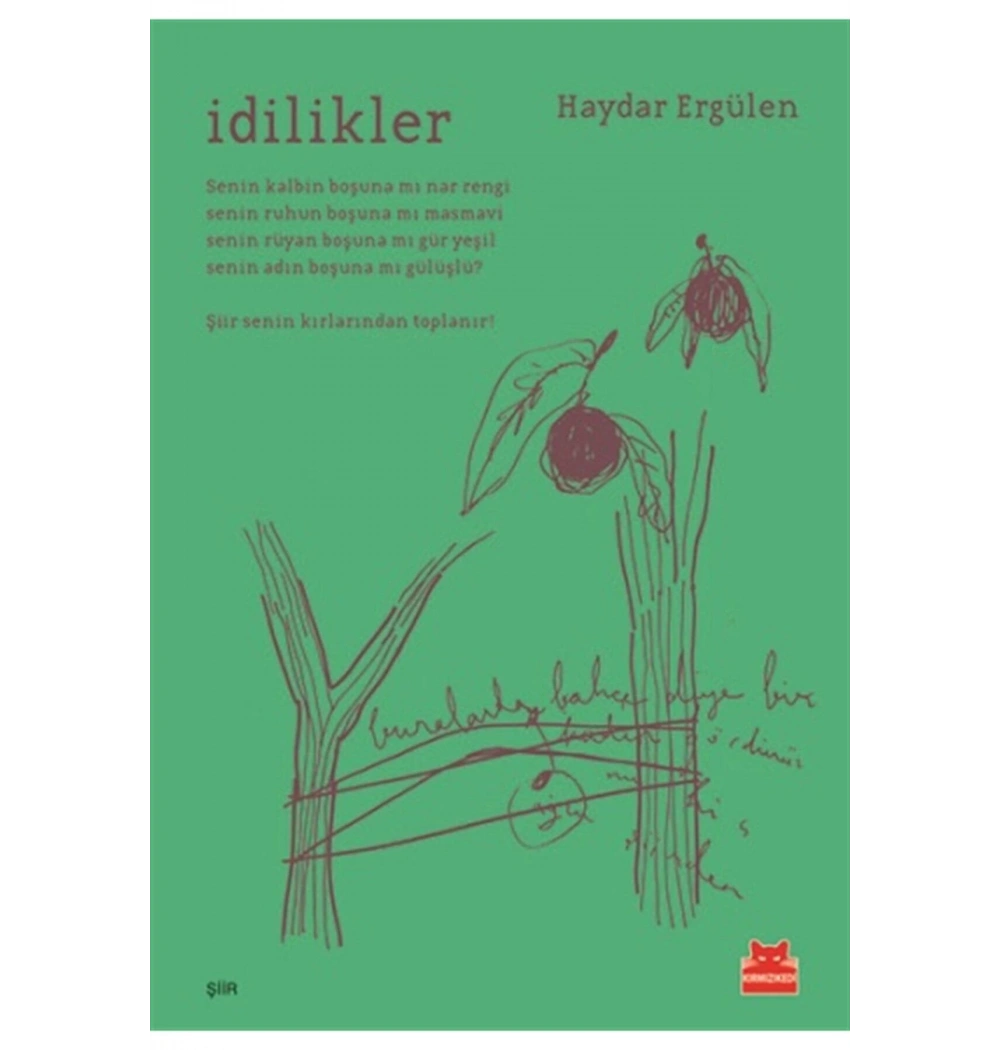 İdilikler  Haydar Ergülen  Kırmızı Kedi