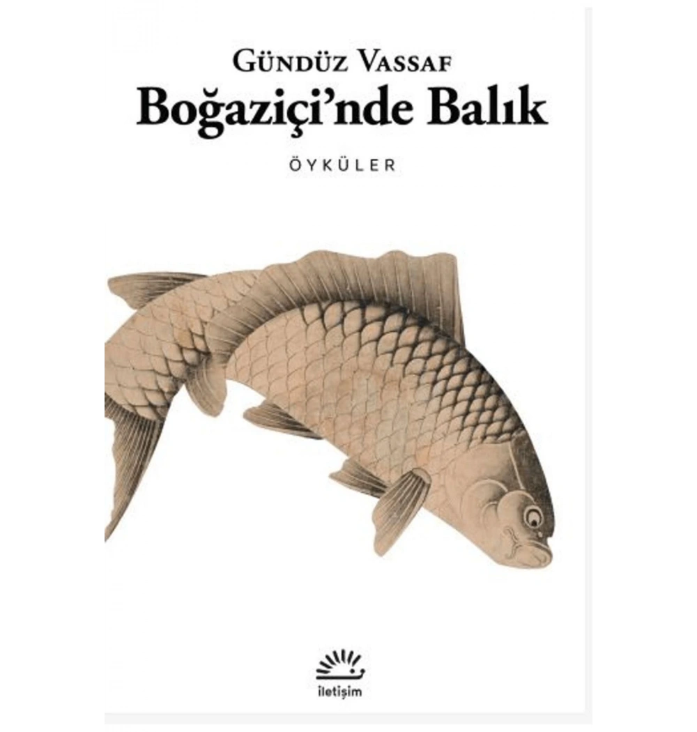 Boğaziçinde Balık  Gündüz Vassaf  İletişim