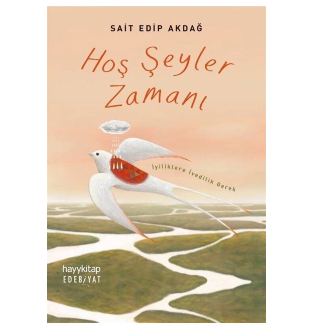 Hoş Şeyler Zamanı  Said Edip Akdağ Hayykitap