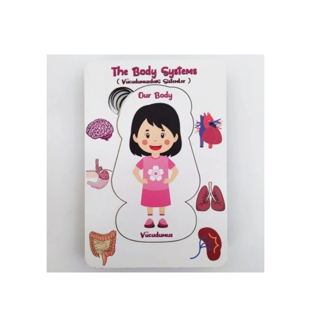 Vücudumuz Eğitime Yardımcı Boyanabilir Zeka Oyuncağı  Kız  5+ Yaş Ve Üzeri Moonbeavers