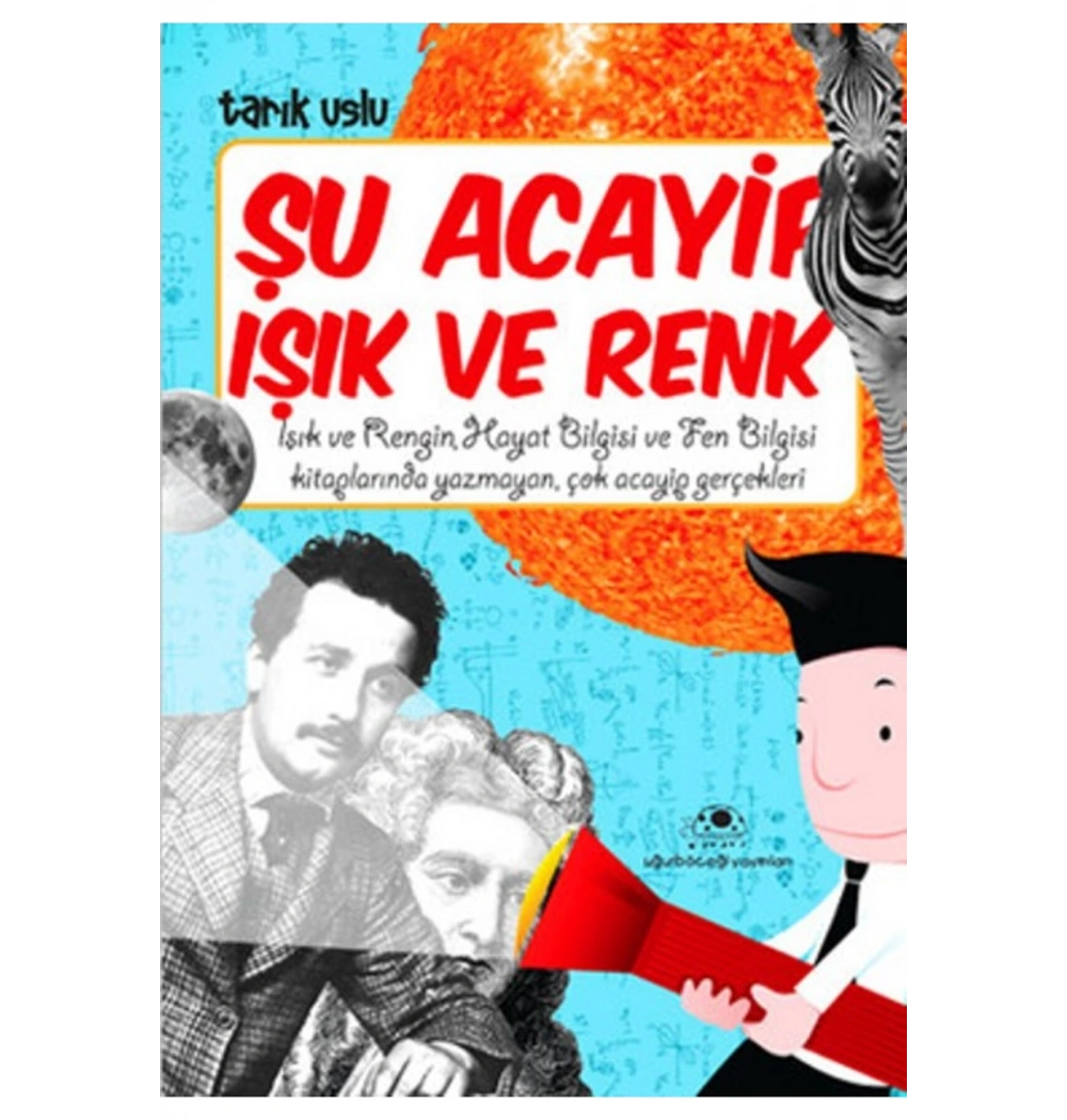 Şu Acayip Işık Ve Renk      Uğurböceği