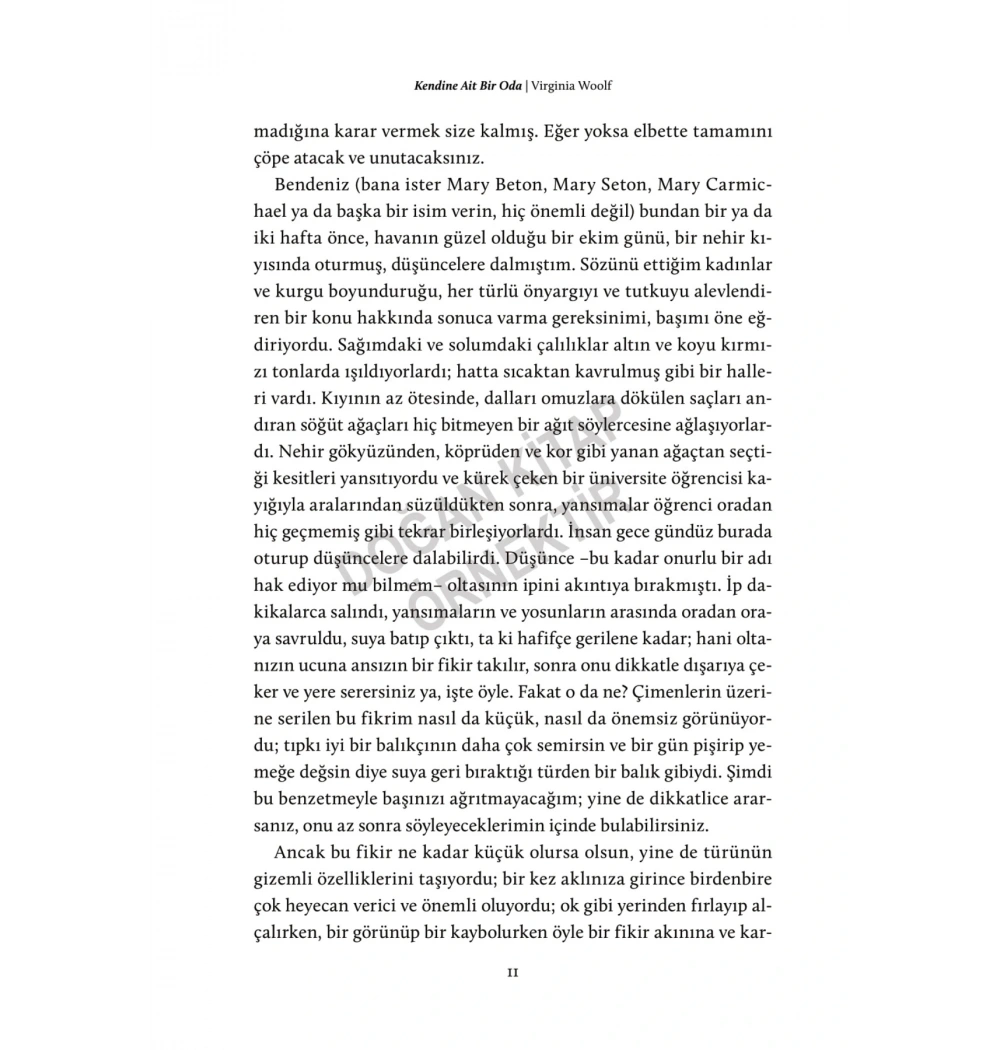 KENDİNE AİT BİR ODA VİRGİNİA WOOLF DOĞAN KİTAP