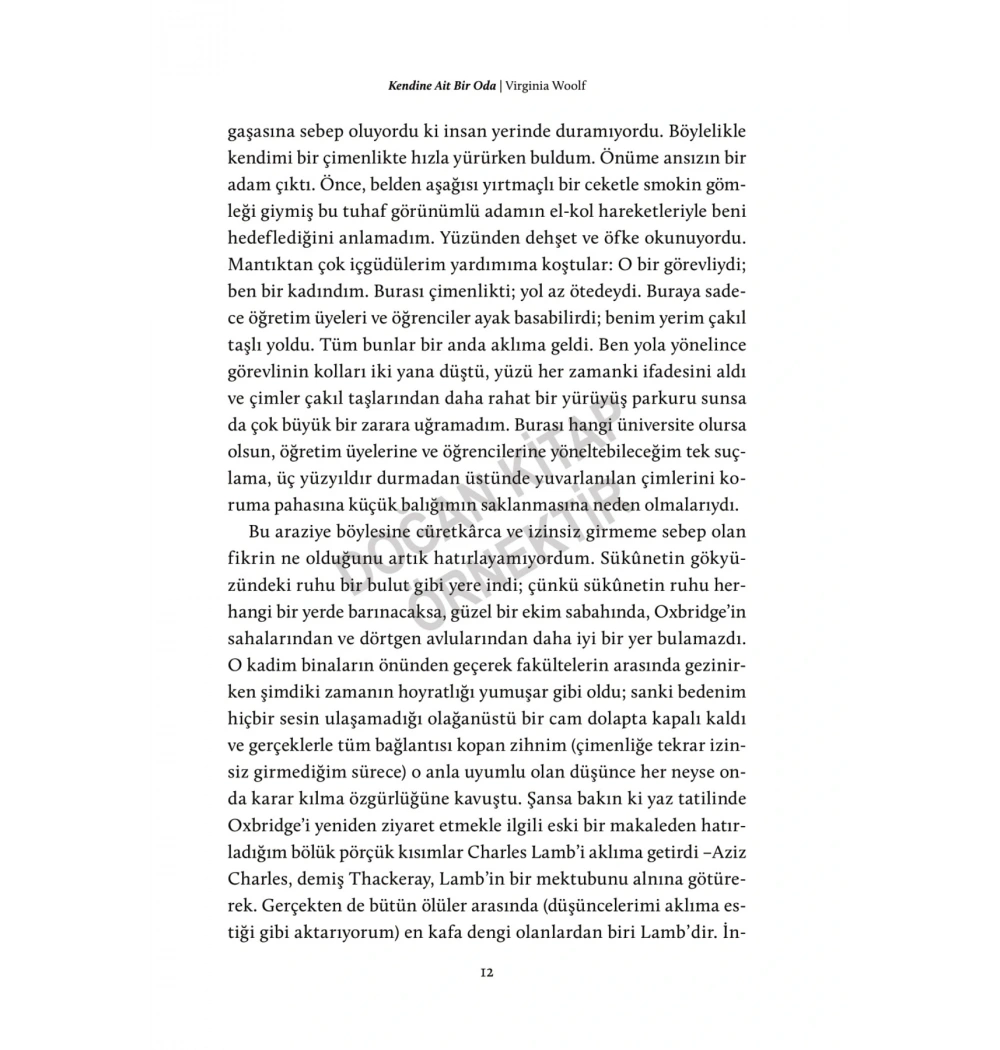 KENDİNE AİT BİR ODA VİRGİNİA WOOLF DOĞAN KİTAP