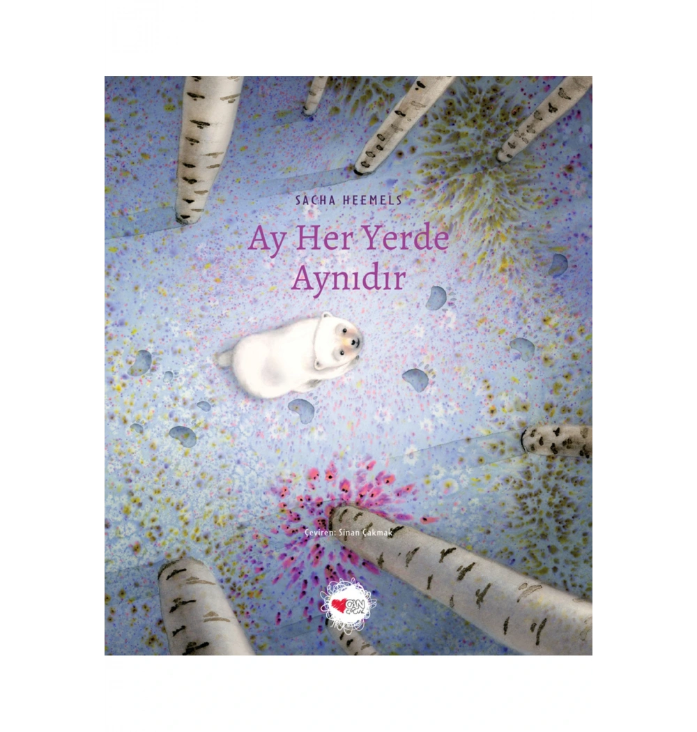 AY HER YERDE AYNIDIR SACHA HEEMELS CAN ÇOCUK