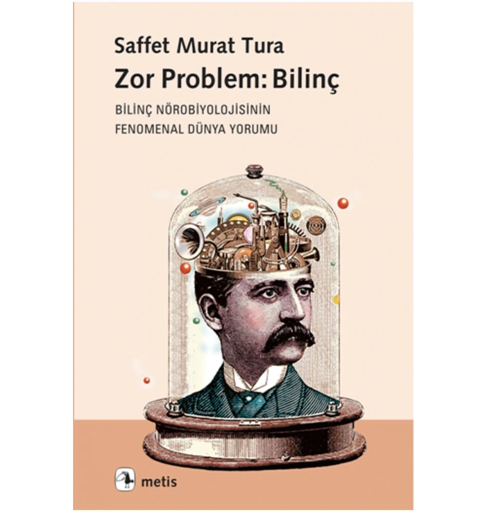 Zor Problem Bilinç Saffet Murat Tura Metis