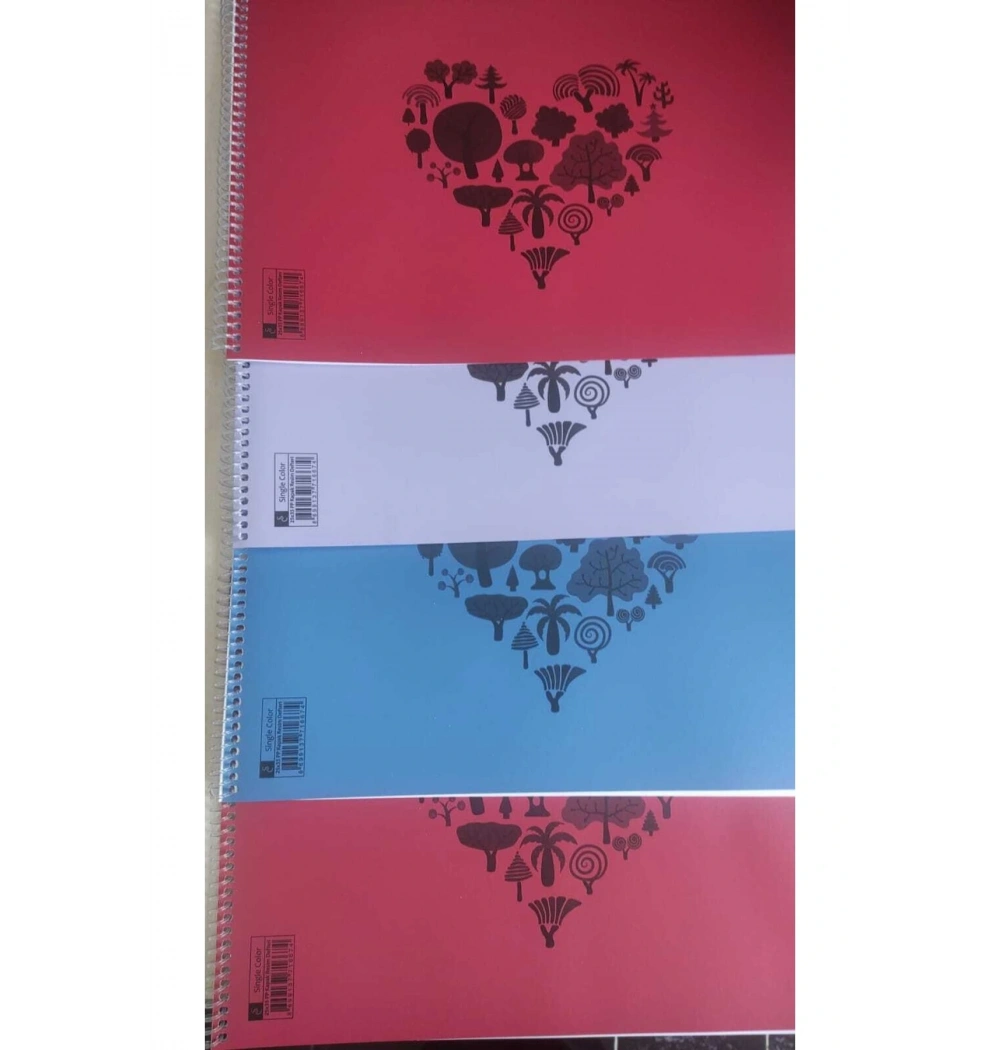 SINGLE COLOR PP KAPAK 25YP 25X35 TELLİ RESİM DEFTERİ