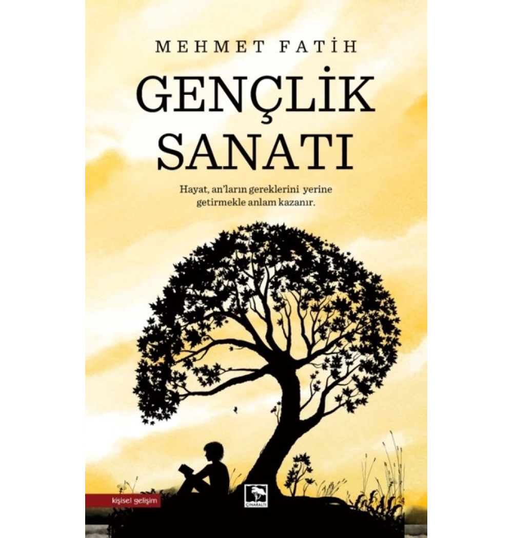Gençlik Sanatı Mehmet Fatih Çınaraltı