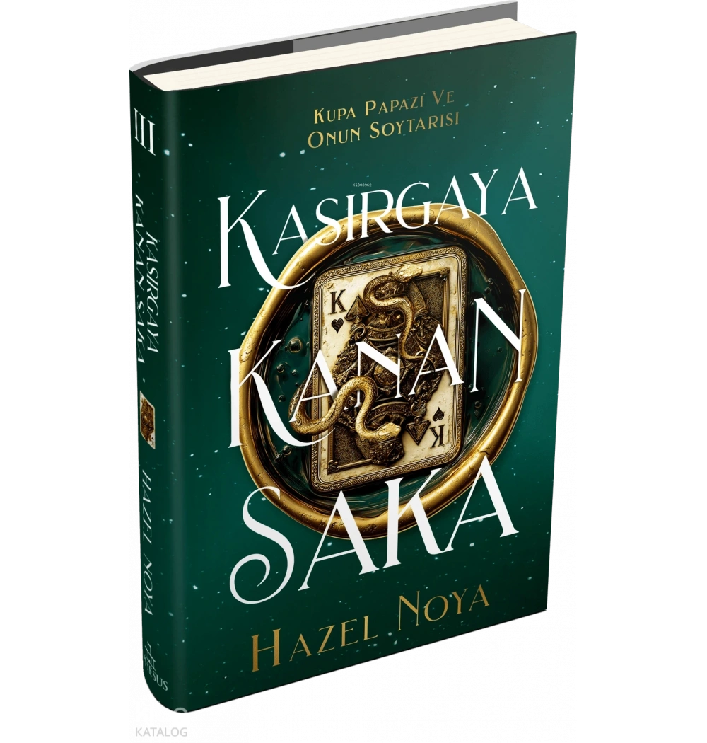 Kasırgaya Kanan Saka 3 Hazel Noya Ciltli Ephesus