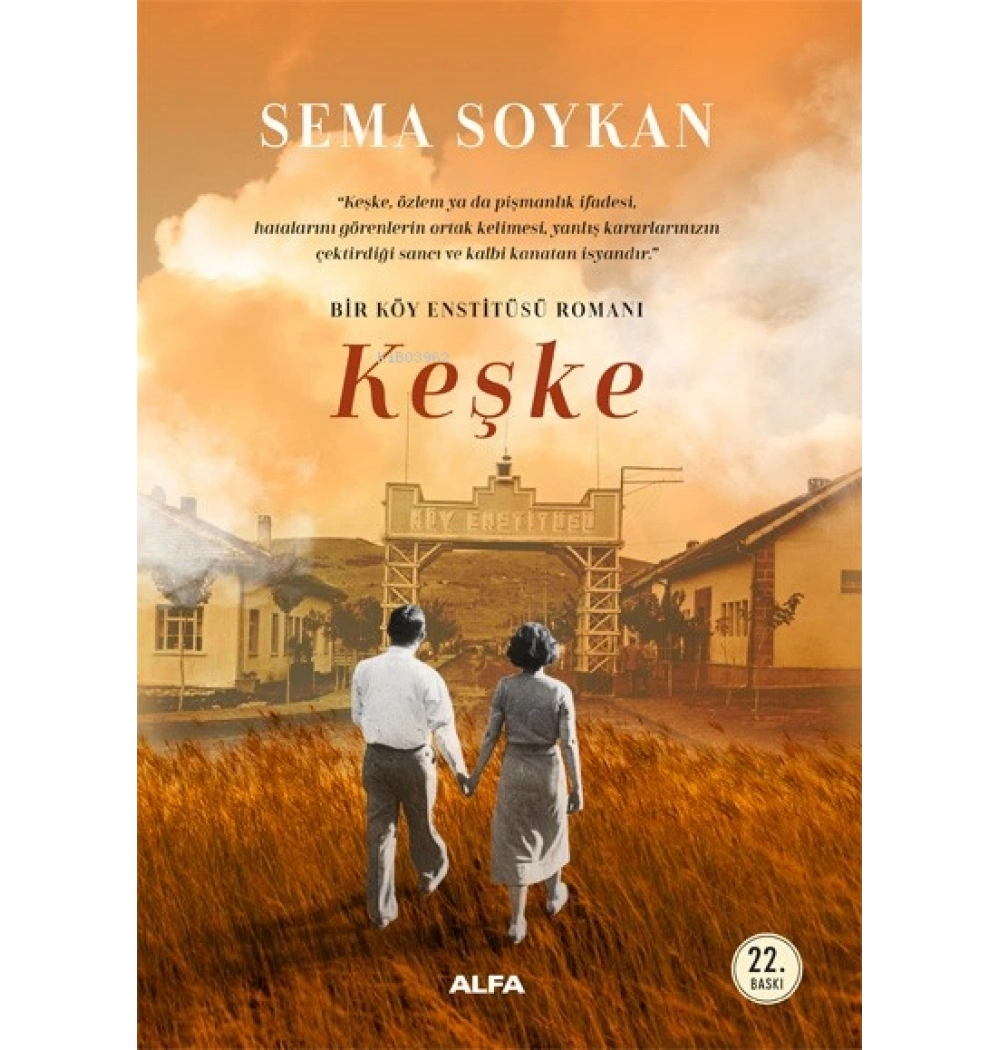 Keşke Bi̇r Köy Ensti̇tüsü Romanı-Sema Soykan Alfa Basım