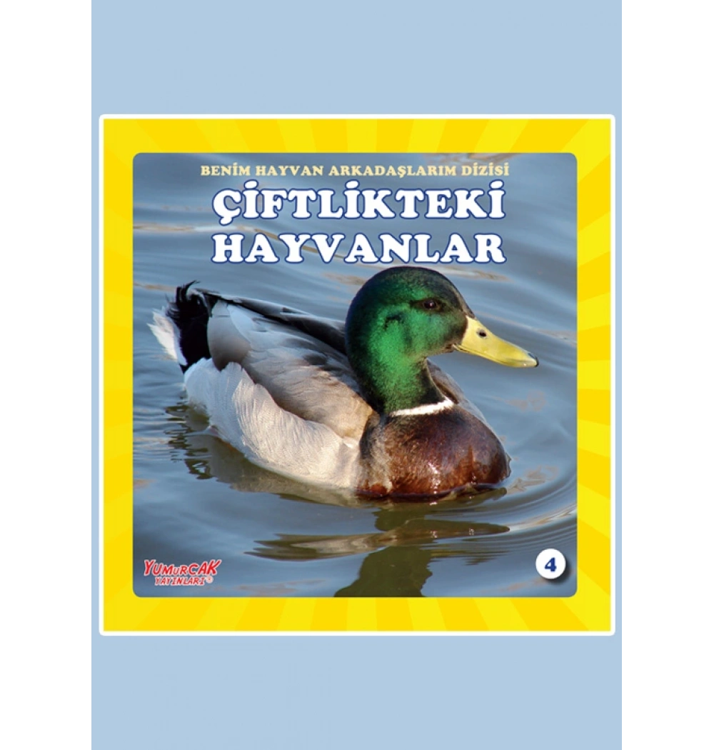 Çiftlik Hayvanları Yumurcak