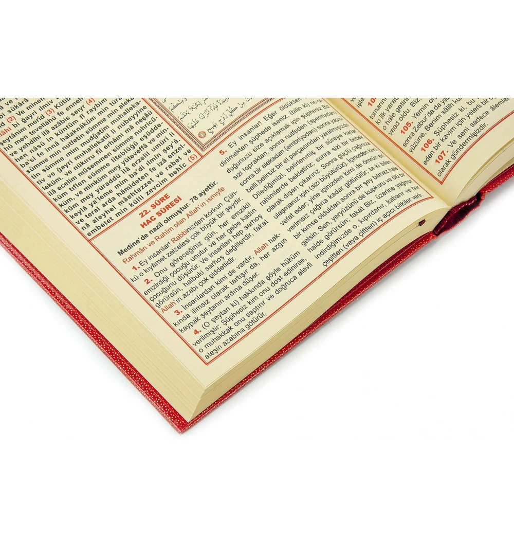 Seda 006 Orta Boy Üçlü Meal