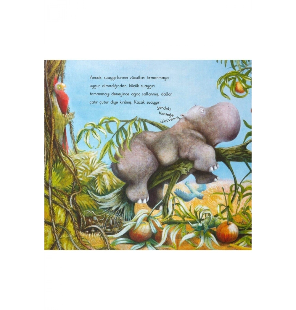 Mutlu Suaygırı İş Bankası