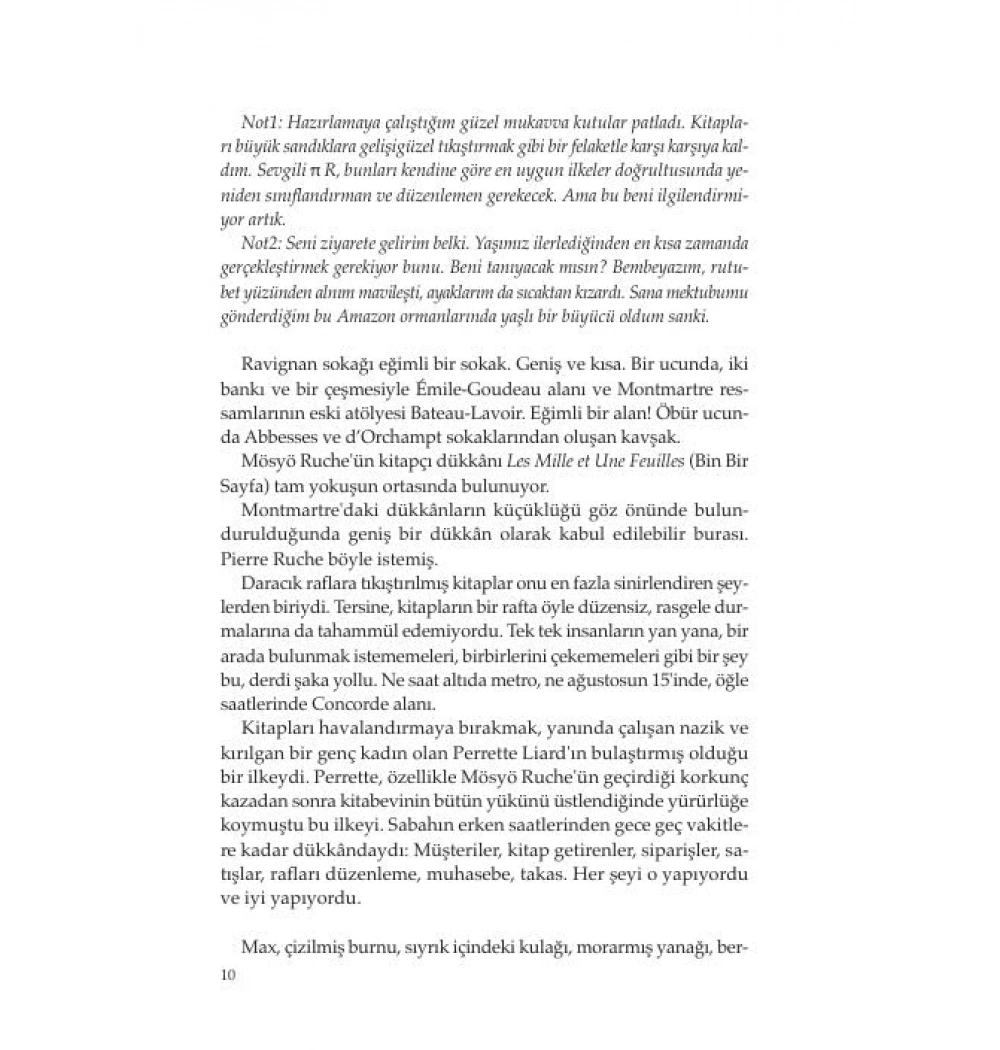 Papağan Teoremi Denis Guedj Kırmızıkedi