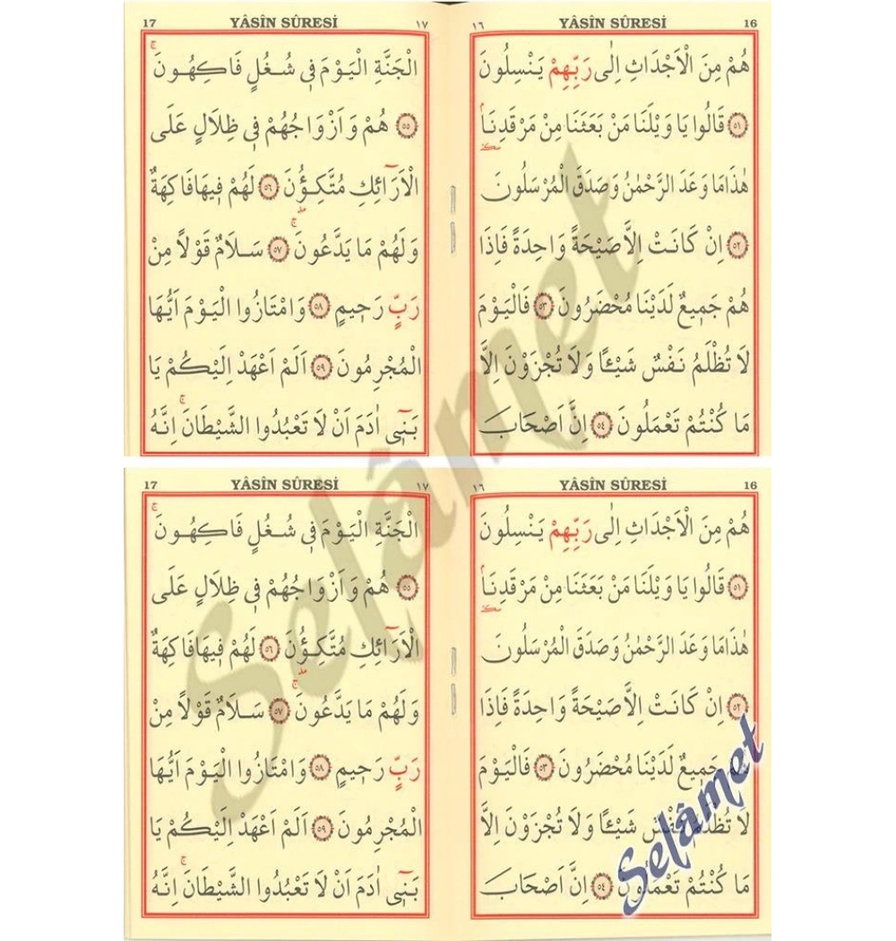 Merve Cep Mini Yasin Cüzü Arapça