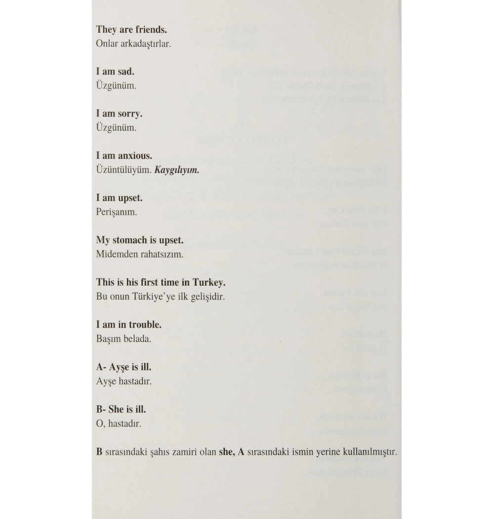 Öğreten İngilizce Dönüşümlü Yakamoz