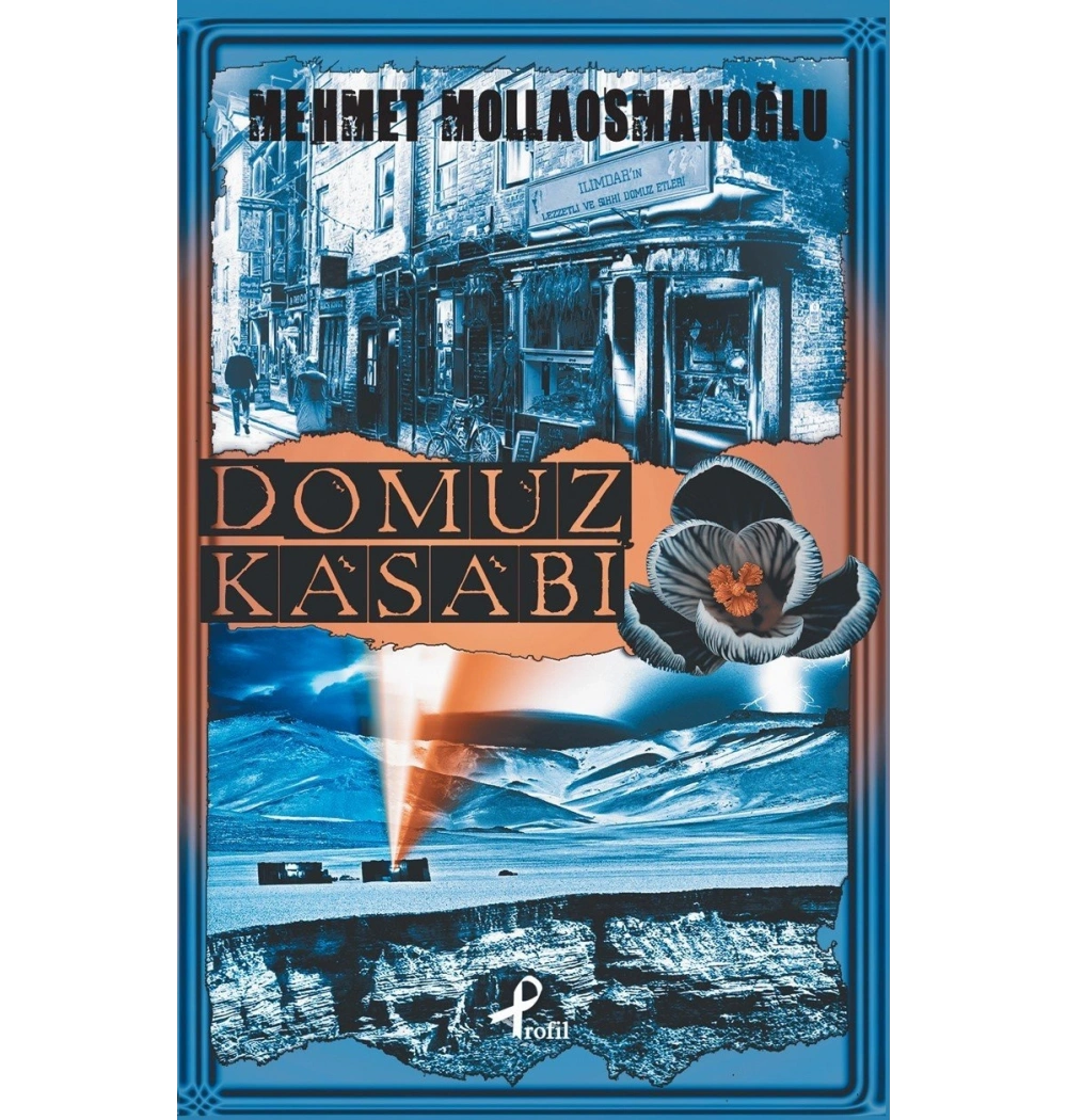 Domuz Kasabi. Mehmet Mollaosmanoğlu Profil