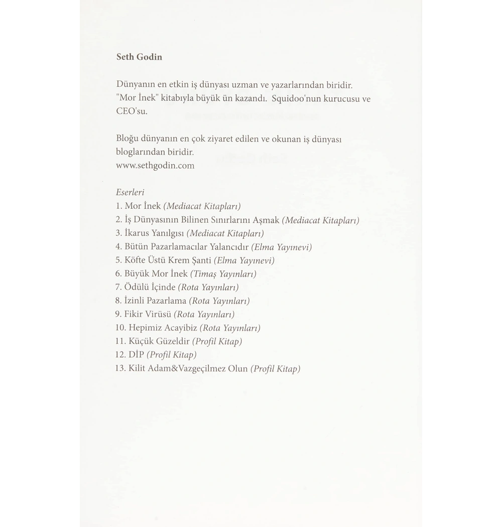 Takim Oyunu Seth Godin Profil