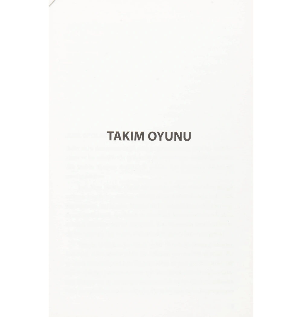 Takim Oyunu Seth Godin Profil