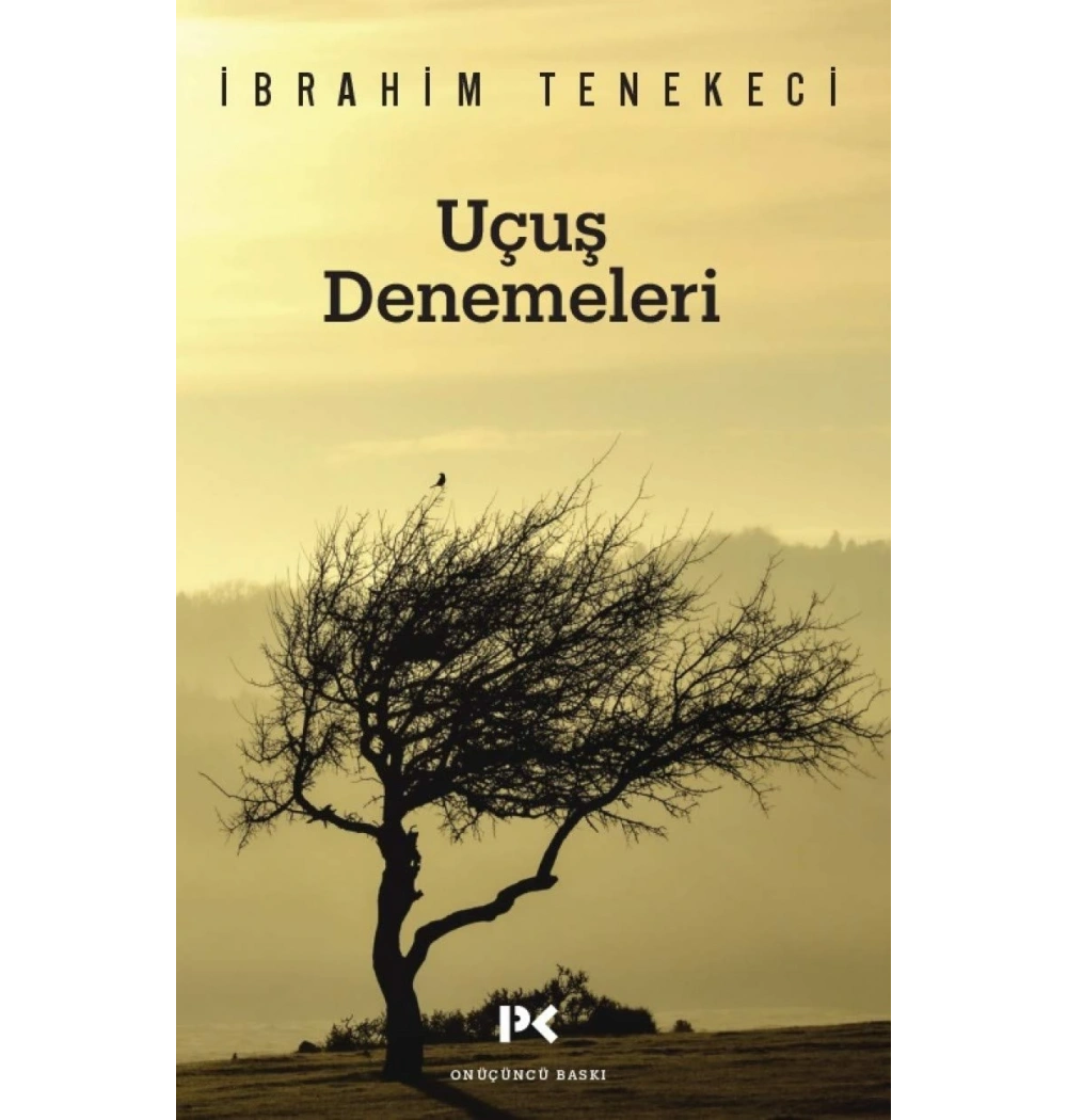 Uçuş Denemeleri Ibrahim Tenekeci Profil