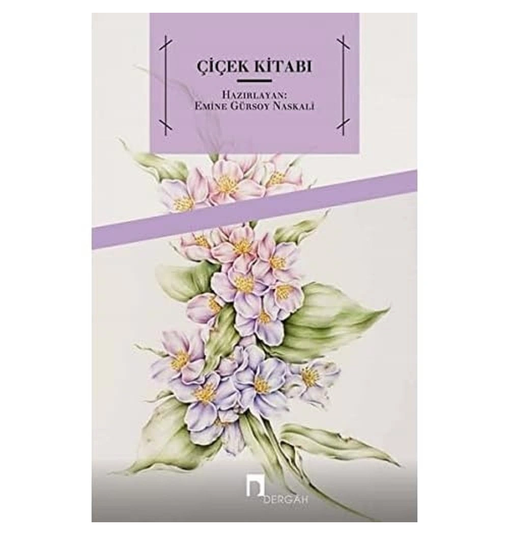 Çilek Kitabı Emine Gürsoy Naskali Dergah