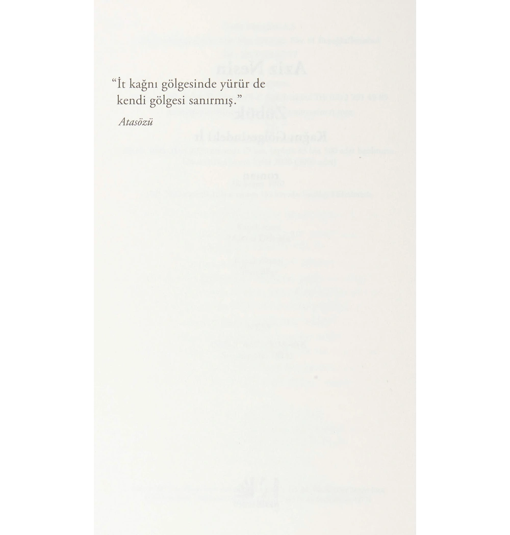 Zübük   Kağnı Gölgesindeki İt-Aziz Nesin  Nesin