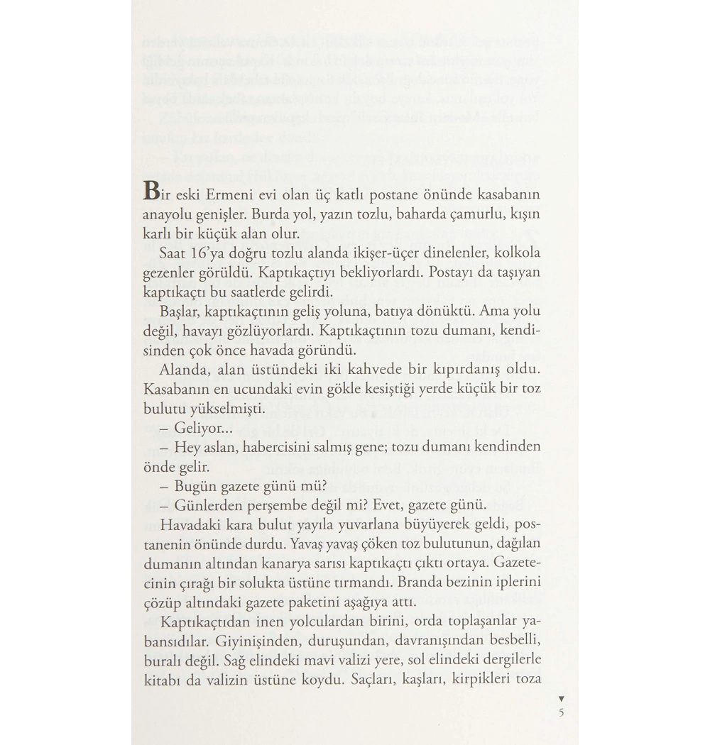 Zübük   Kağnı Gölgesindeki İt-Aziz Nesin  Nesin