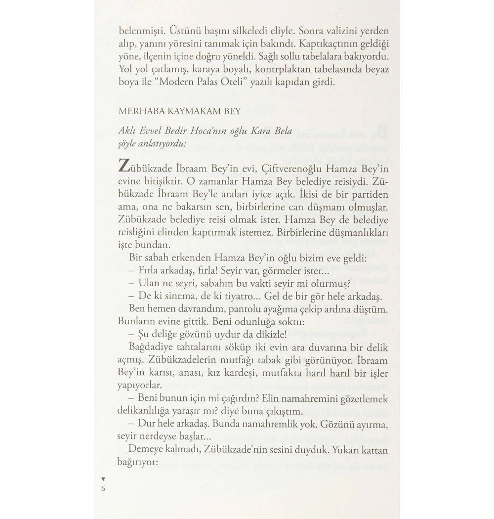 Zübük   Kağnı Gölgesindeki İt-Aziz Nesin  Nesin