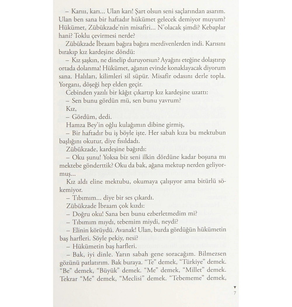 Zübük   Kağnı Gölgesindeki İt-Aziz Nesin  Nesin