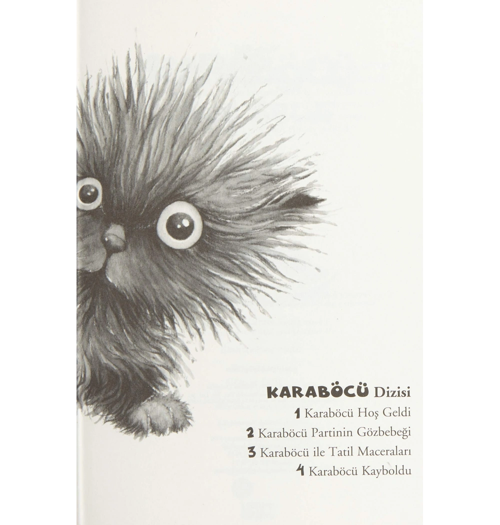 Karaböcü Hoş Geldi Günışığı