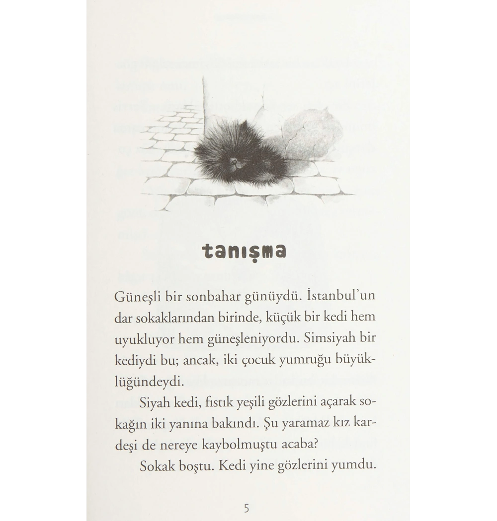 Karaböcü Hoş Geldi Günışığı