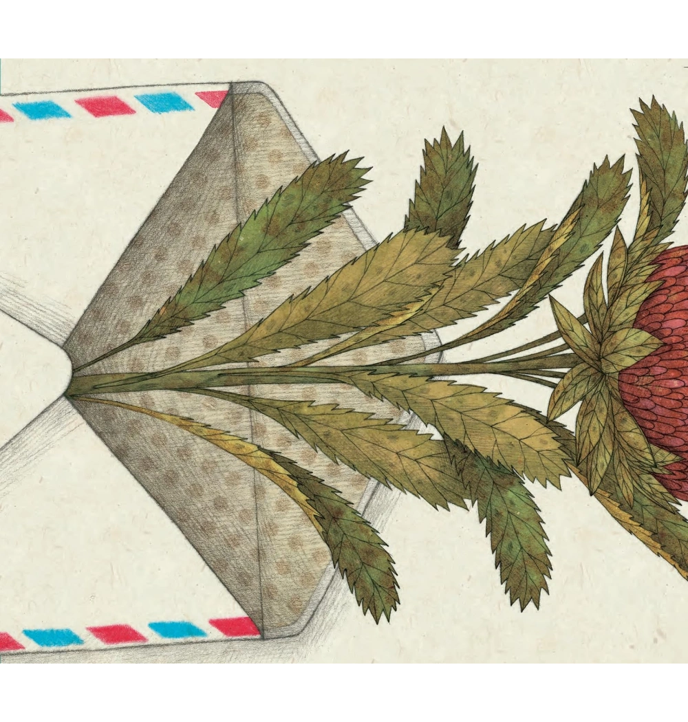 BİR DOSTLUK MASALI    S. ISERN UÇANBALIK