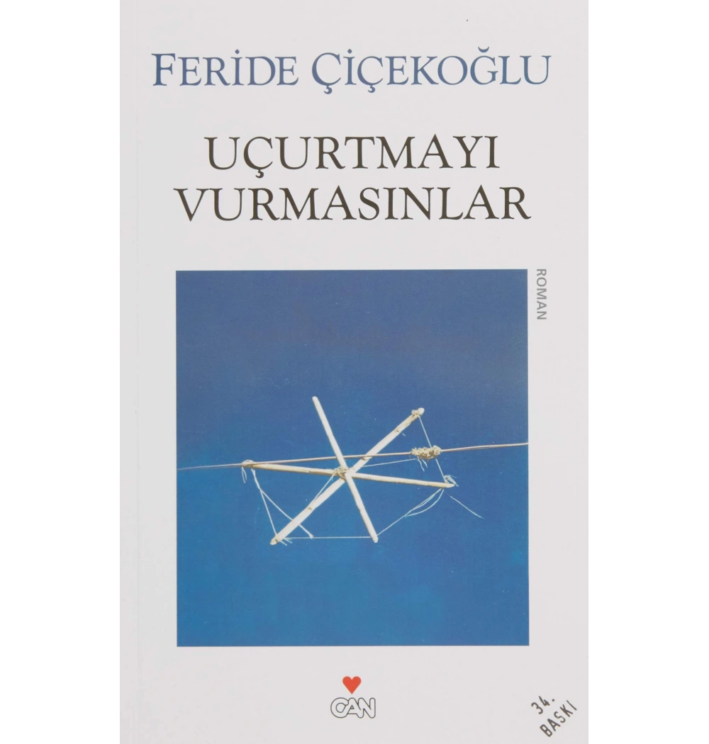 Uçurtmayı Vurmasınlar / F.Çiçekoğlu Can Yay.