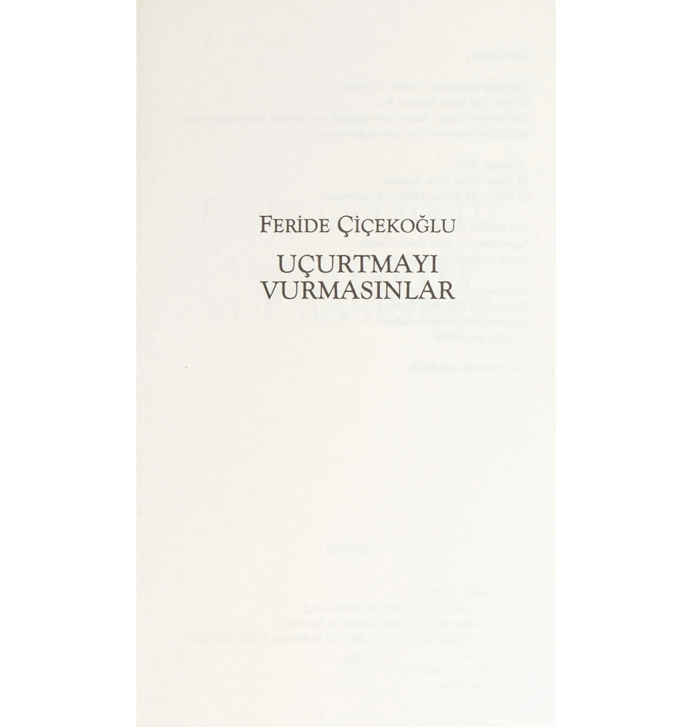 Uçurtmayı Vurmasınlar / F.Çiçekoğlu Can Yay.