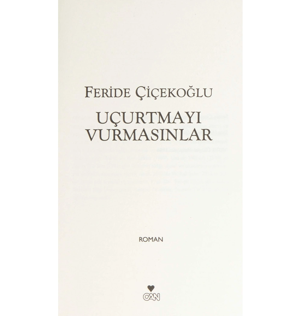 Uçurtmayı Vurmasınlar / F.Çiçekoğlu Can Yay.