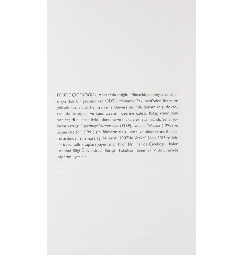 Uçurtmayı Vurmasınlar / F.Çiçekoğlu Can Yay.