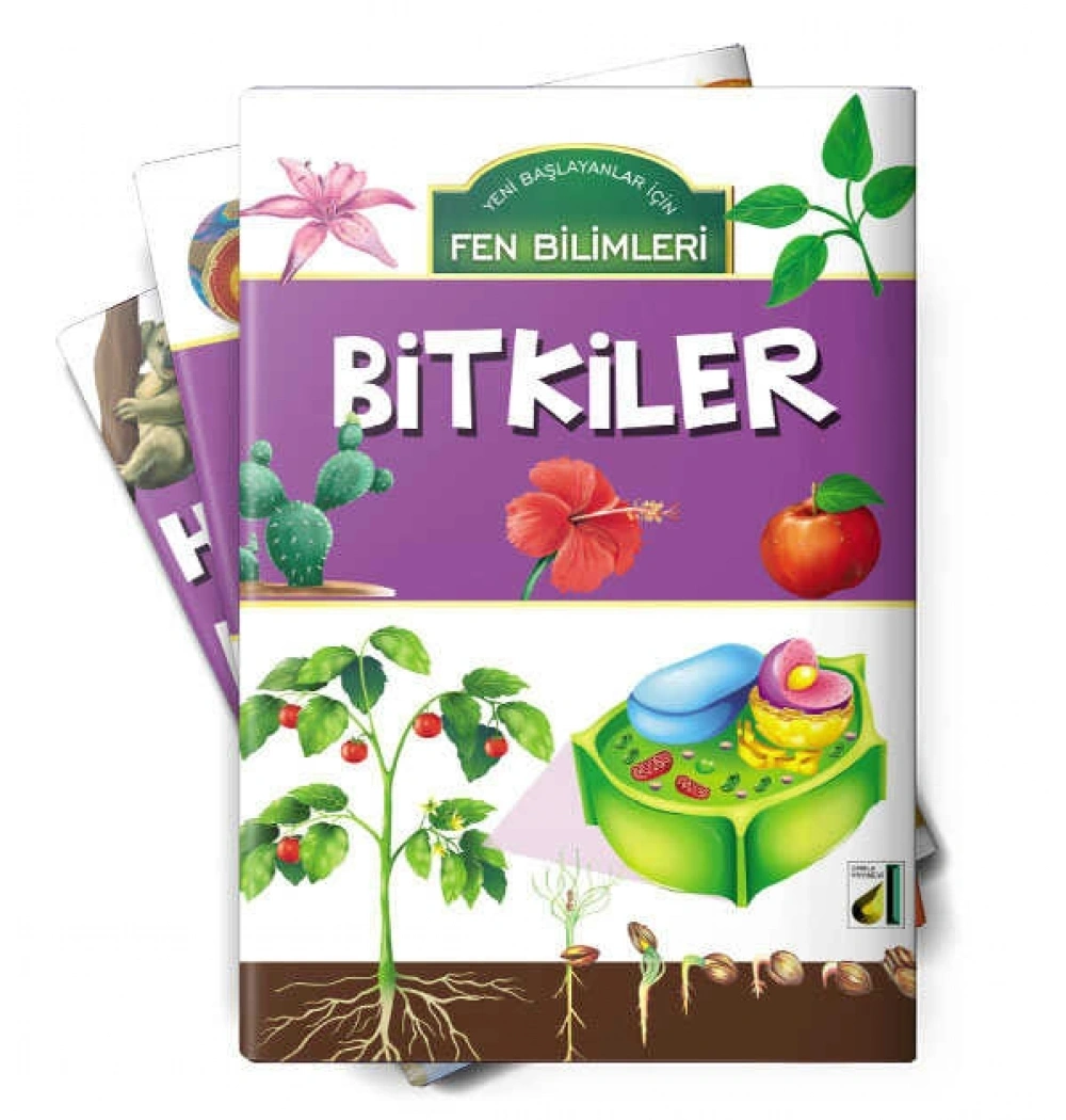 Damla Fen Bilimleri Dünyamız