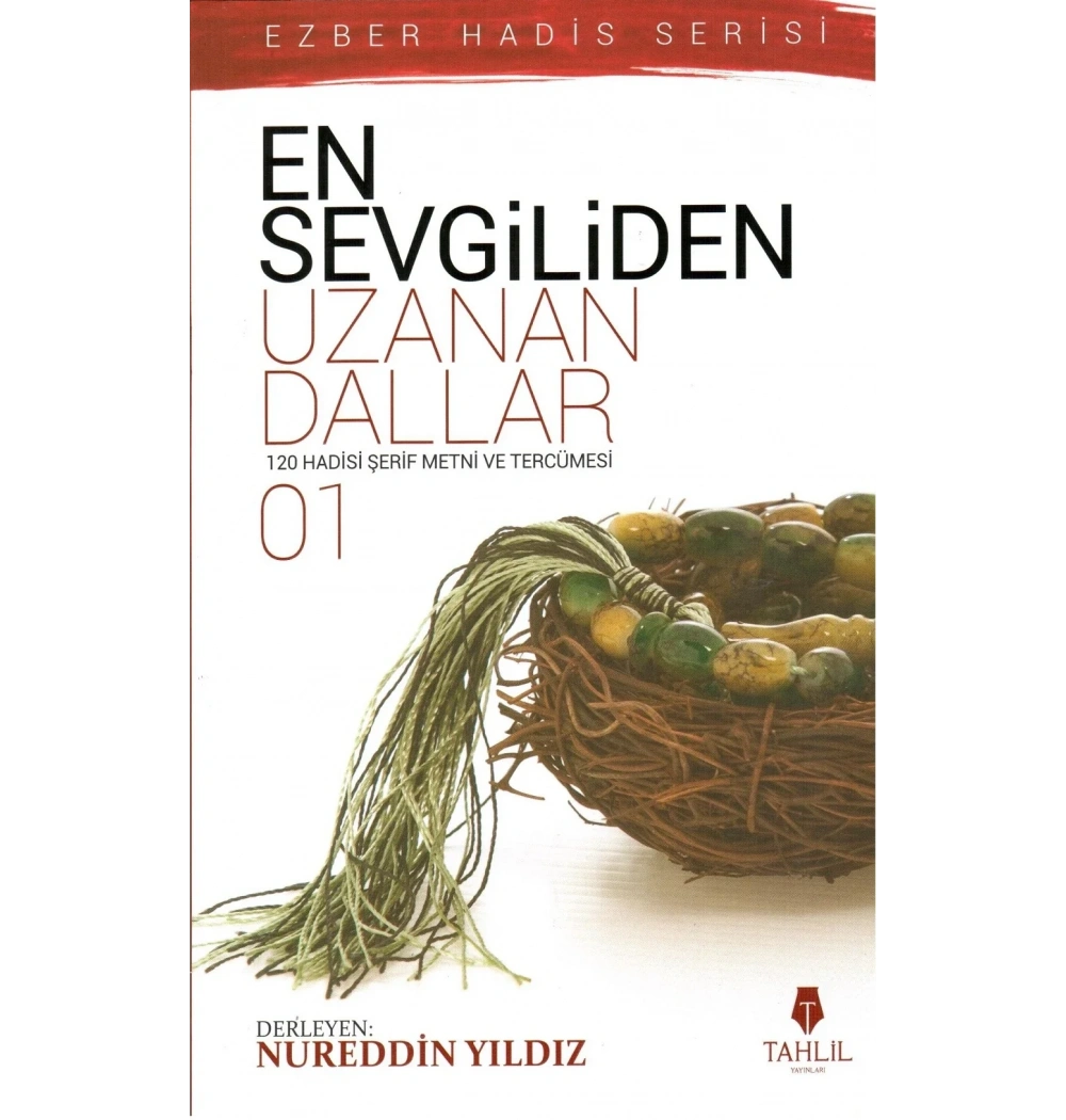 En Sevgiliden Uzanan Dallar 1 - Nureddin Yıldız - Tahlil