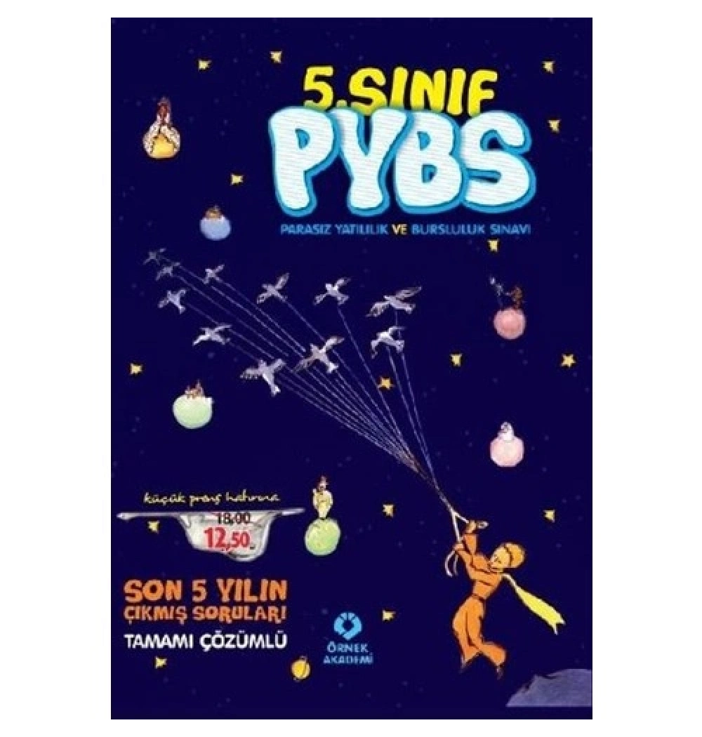 5.Sınıf Parasız Yatılılık Bursluluk Son 5 Yıl Çıkmış Sorular