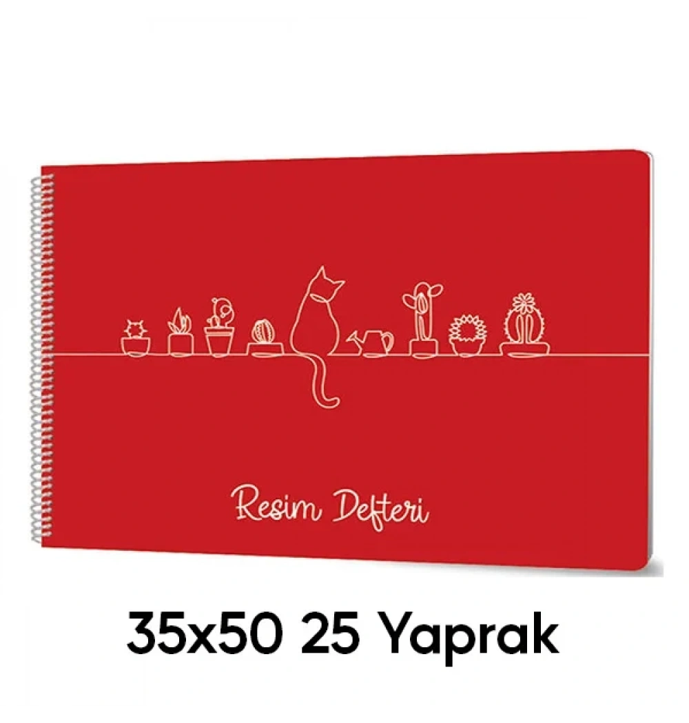 Sevinç 35X50 Pp Kapak 25 Yaprak Tel Spiralli Resim Defteri