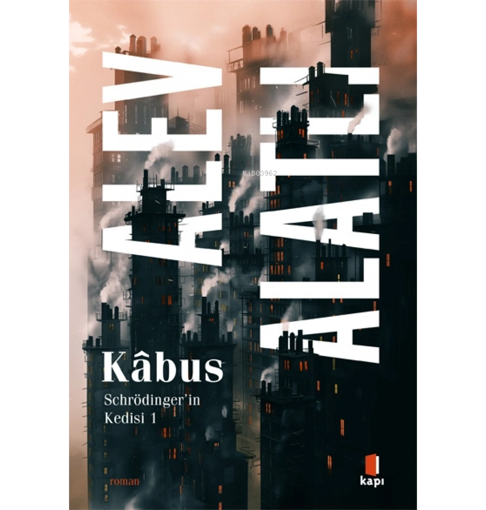 KABUS SCHRÖDİNGERİN KEDİSİ 1 ALEV ALATLI KAPI YAYIN