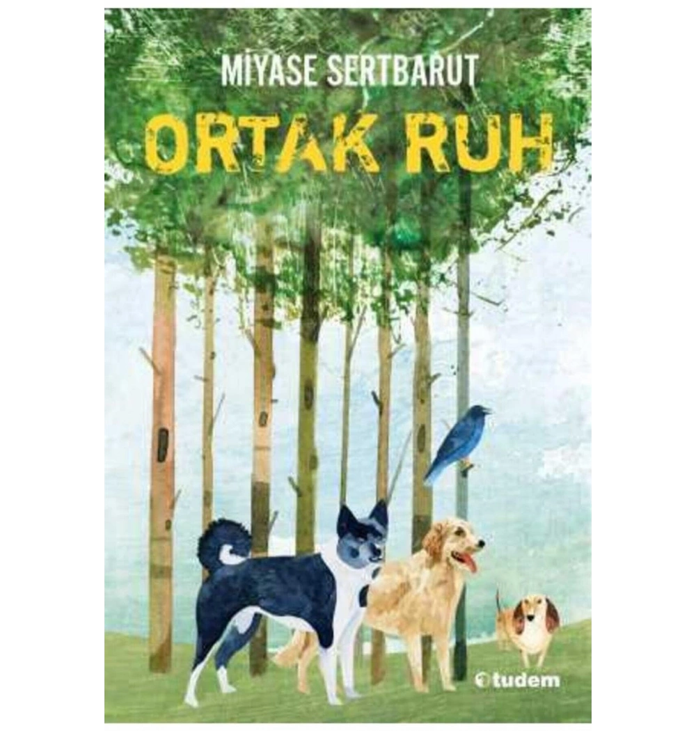 ORTAK RUH   MİYASE SERTBARUT   TUDEM