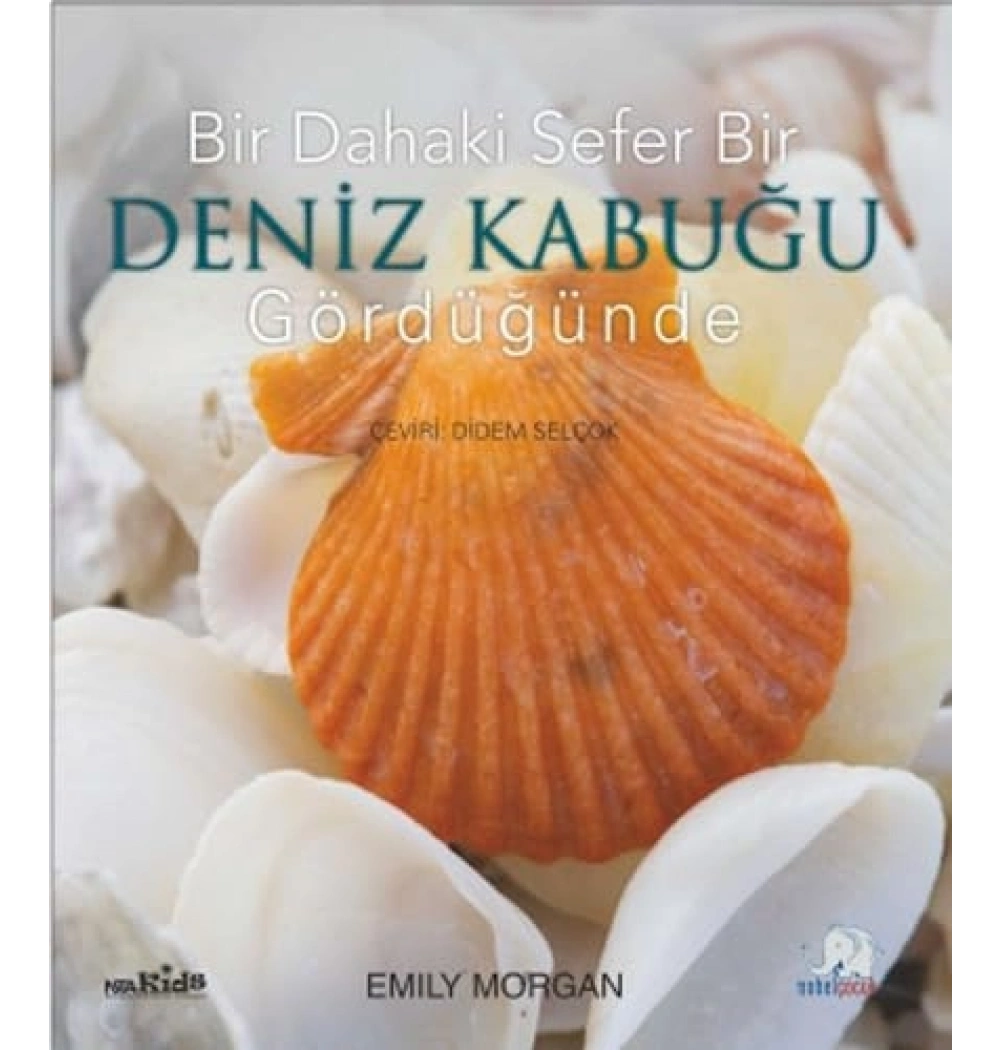Bir Dahaki Sefer Bir Deniz Kabuğu Gördüğünde