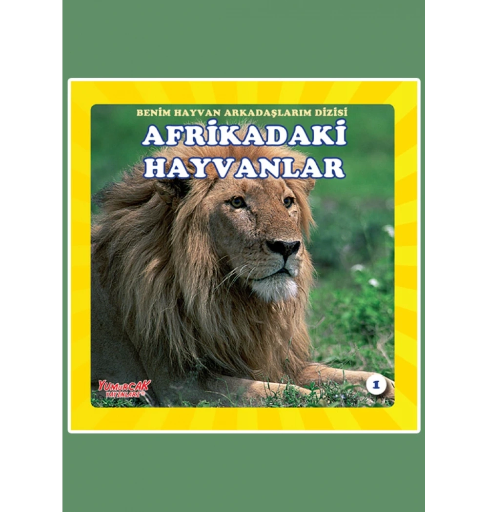 Afrikadaki Hayvanlar Benim Hayvan Arkadaşlarım