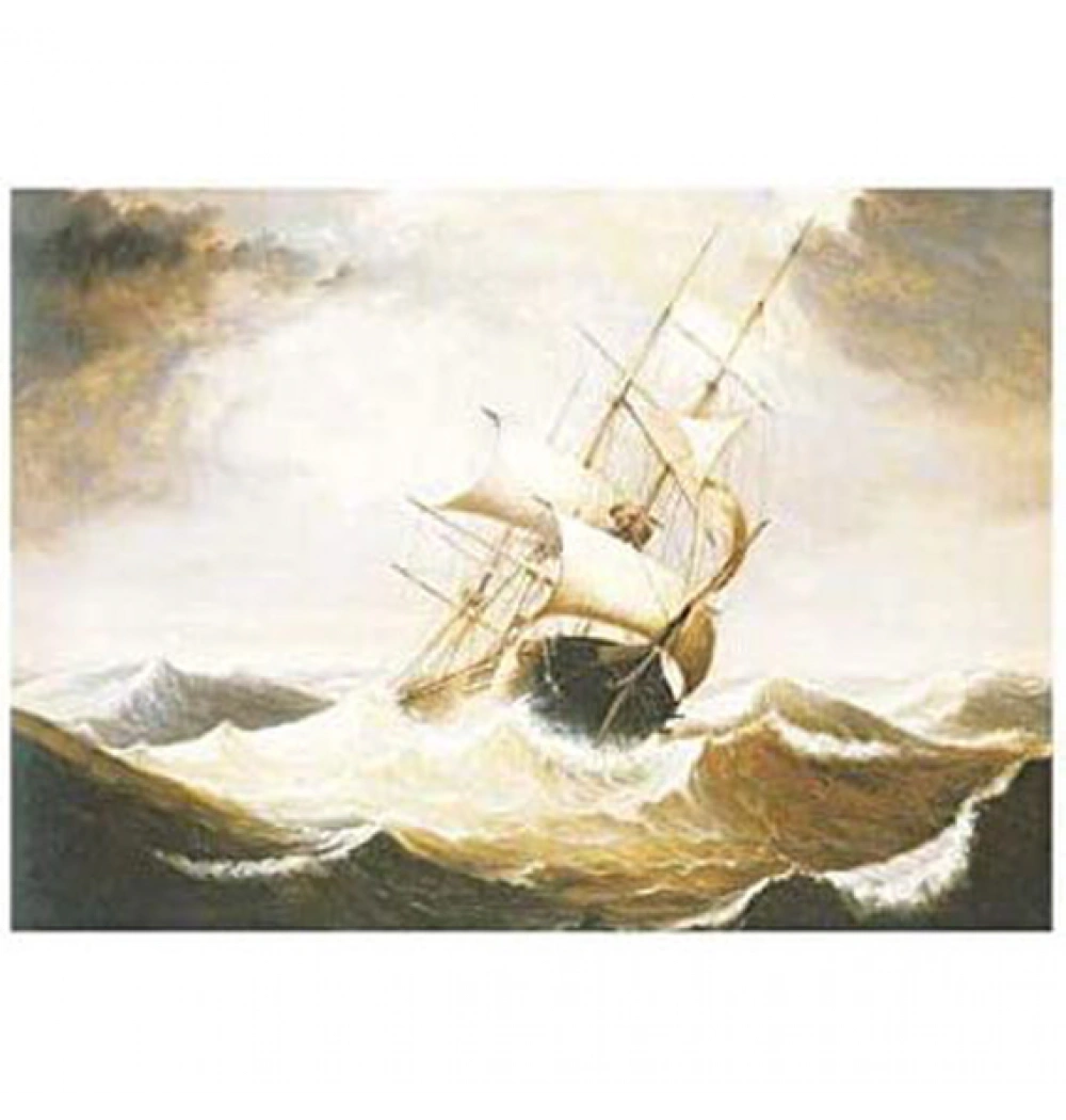 Artebella 1302 V Kolay Transfer