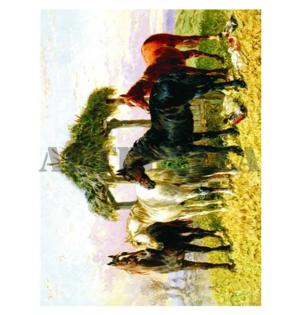 Artebella 1372V Kolay Transfer Açik Zemi̇n