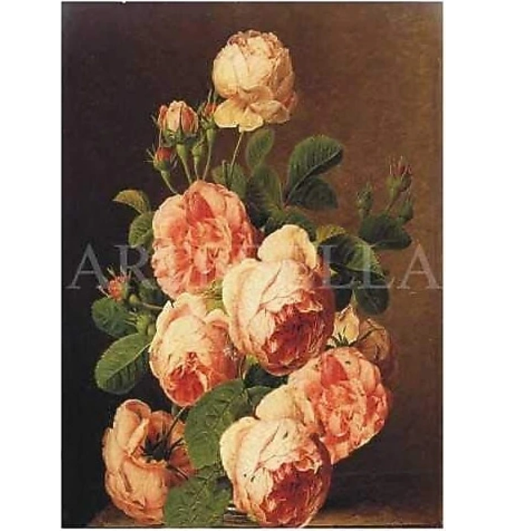 Artebella 1385 V Kolay Transfer