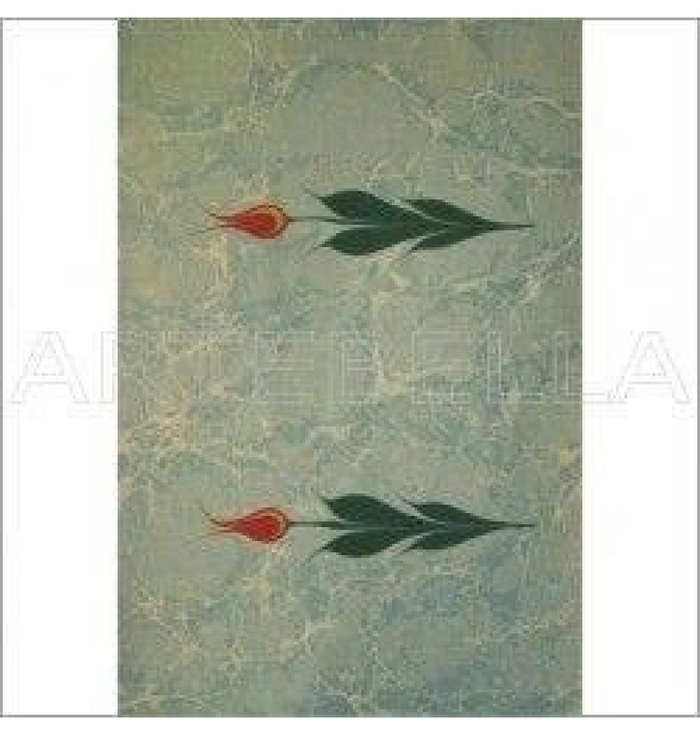 Artebella 1516 K Klasi̇K Kolay Transfer